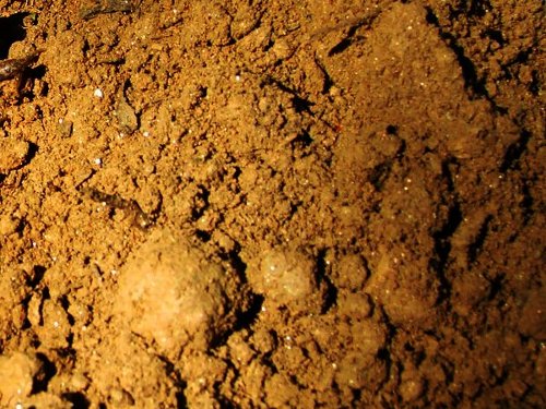 terreno